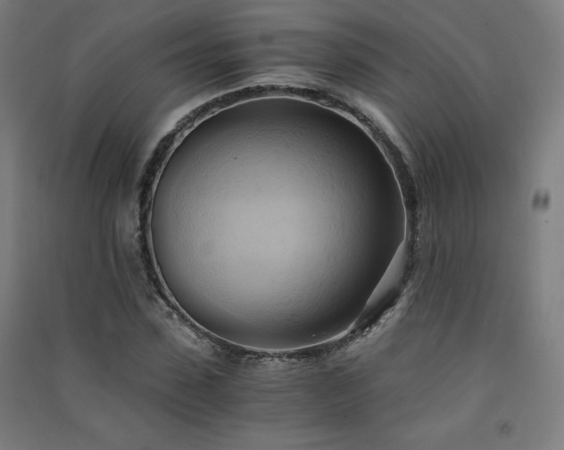 X0000091570923200708201142