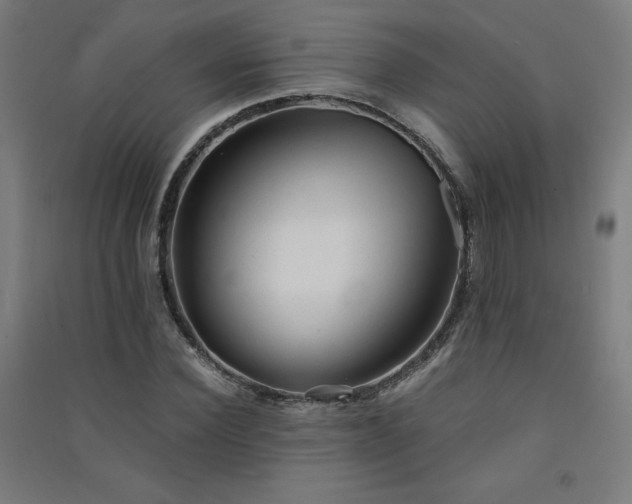 X0000091570924200708201142