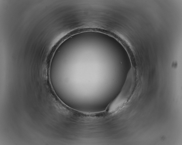 X0000091570925200708201142
