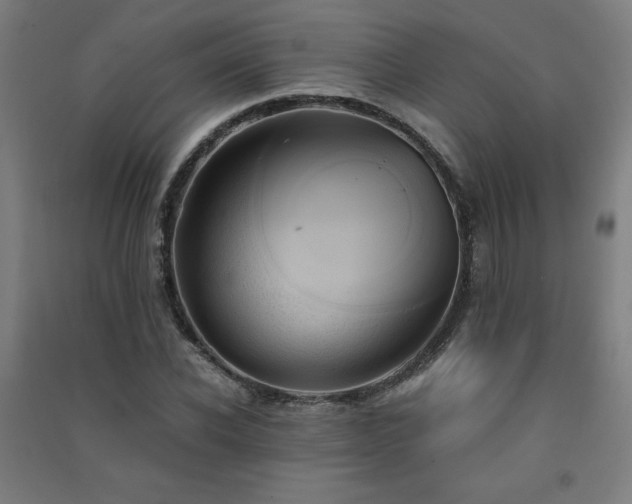 X0000091570926200708201142
