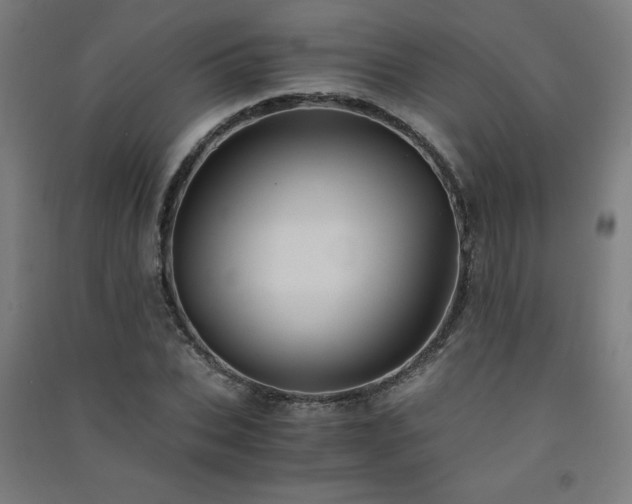 X0000091570927200708201142