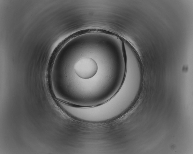 X0000091570928200708201142