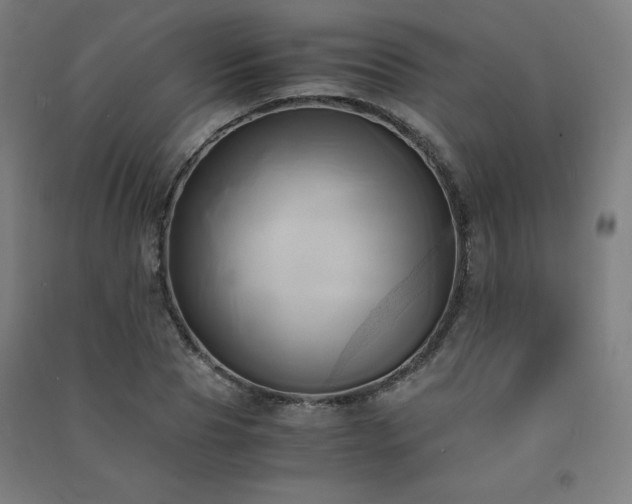 X0000091570929200708201142