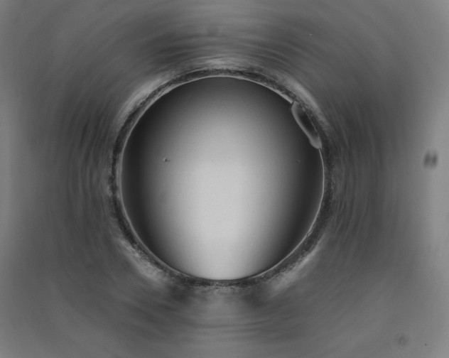 X0000091570930200708201142