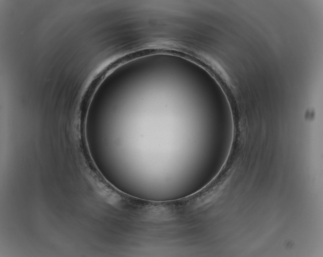 X0000091570931200708201142
