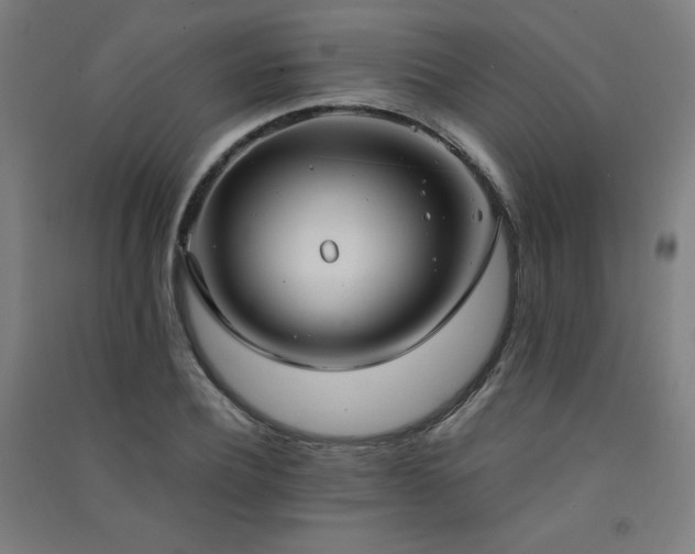 X0000091570932200708201142