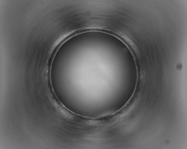 X0000091570933200708201142