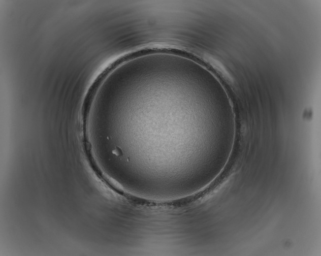 X0000091570934200708201142