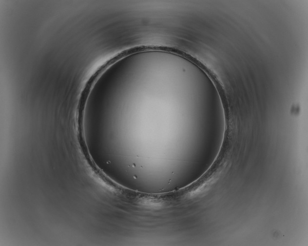 X0000091570935200708201142