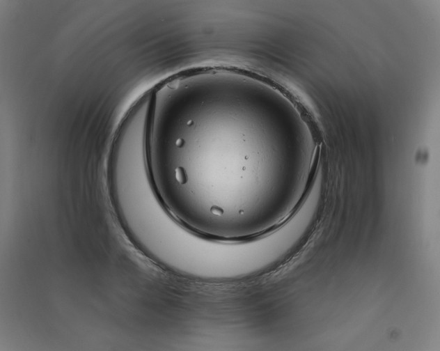 X0000091570936200708201142