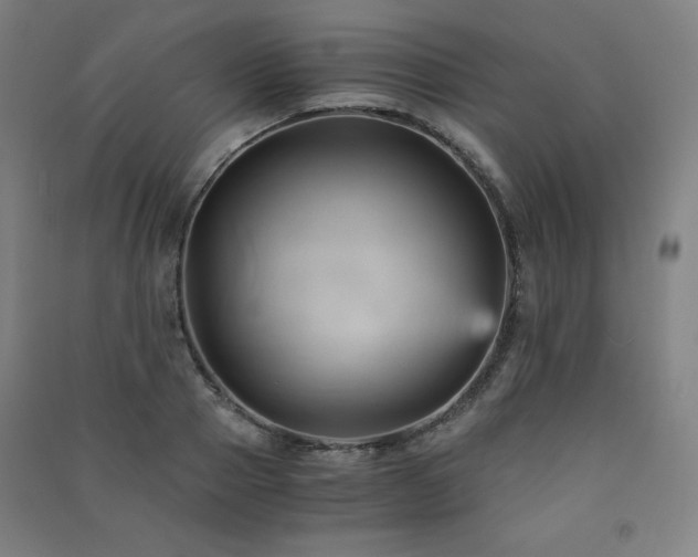 X0000091570937200708201142