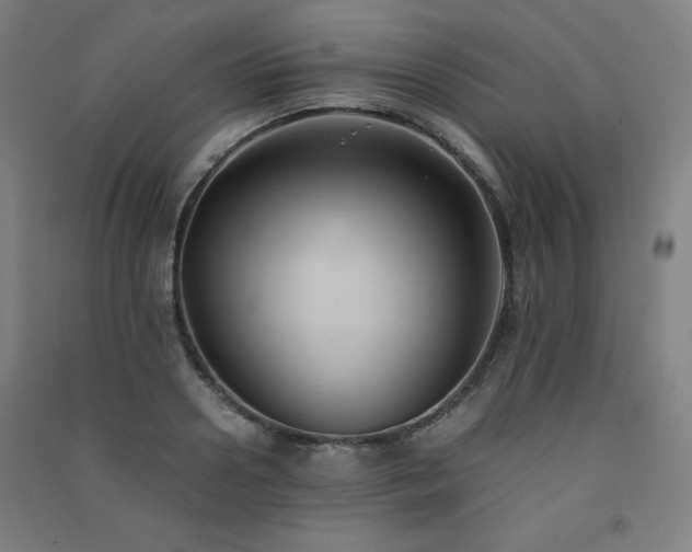 X0000091570938200708201142