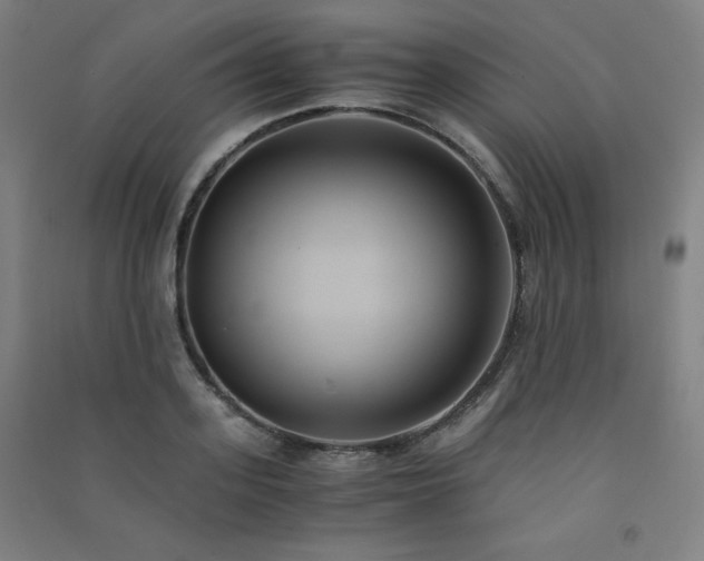 X0000091570939200708201142