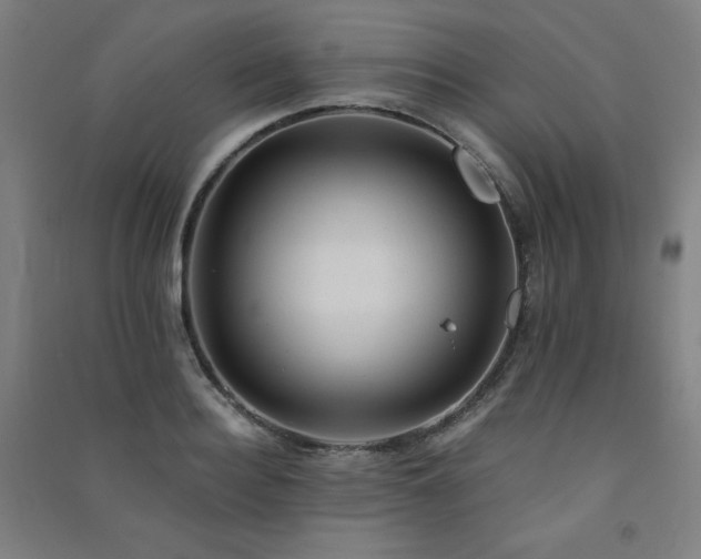 X0000091570940200708201142