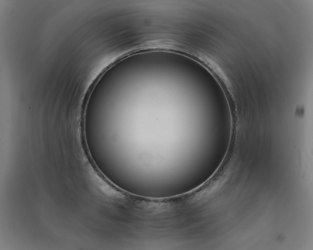 X0000091570941200708201142