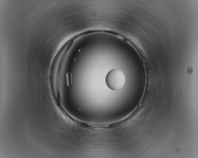X0000091570942200708201142