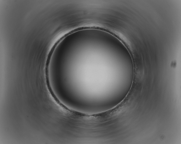 X0000091570943200708201142