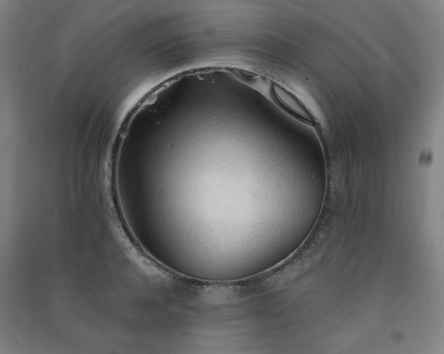 X0000091570944200708201142