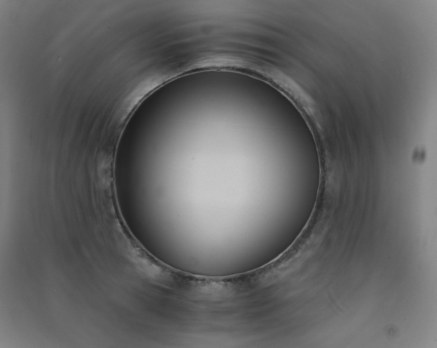 X0000091570945200708201142
