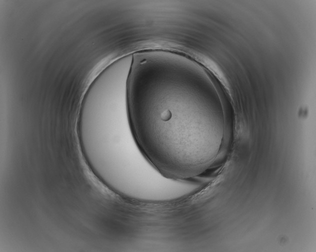 X0000091570946200708201142