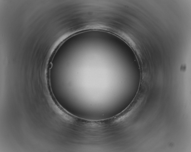 X0000091570947200708201142