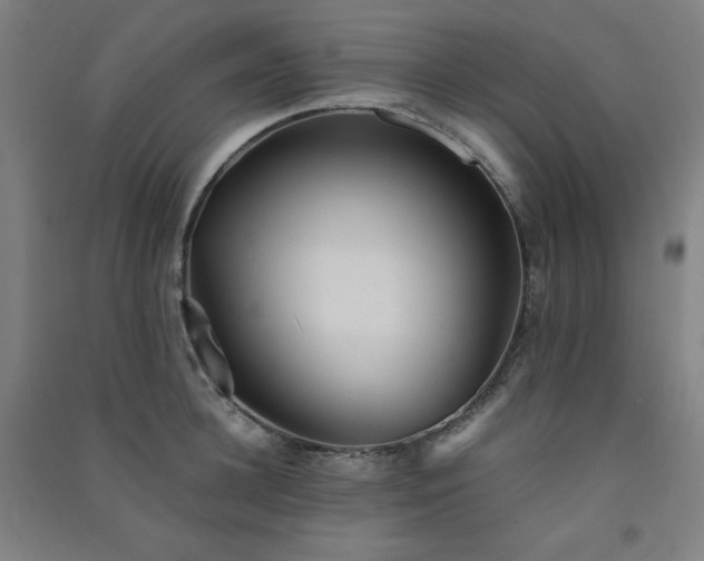 X0000091570948200708201142