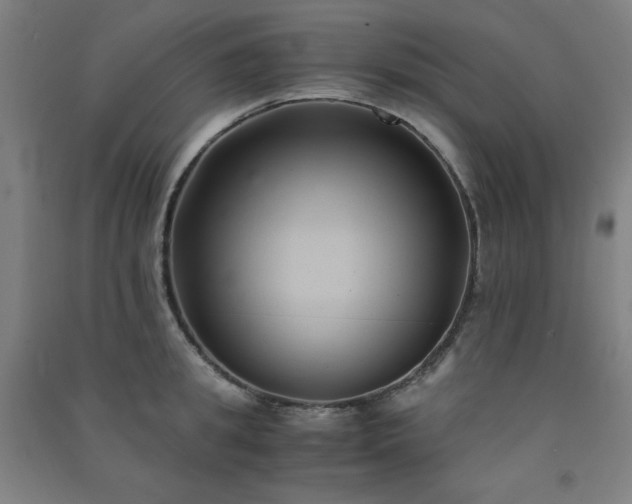 X0000091570949200708201142