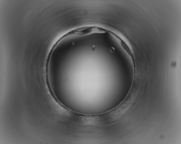 X0000091570951200708201142