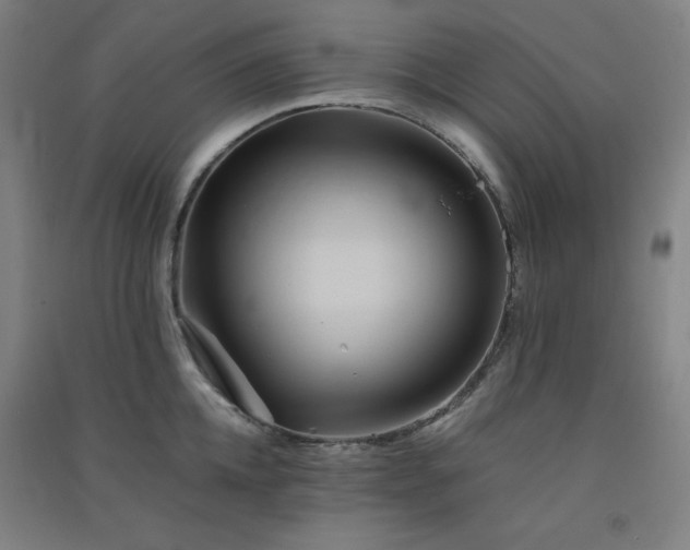 X0000091570952200708201142