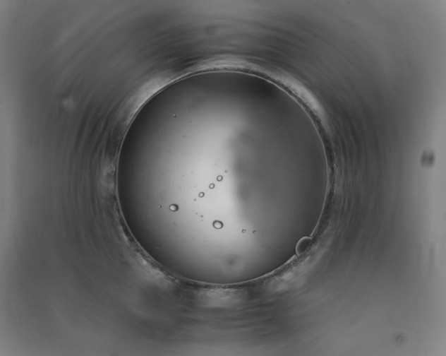 X0000091570953200708201142