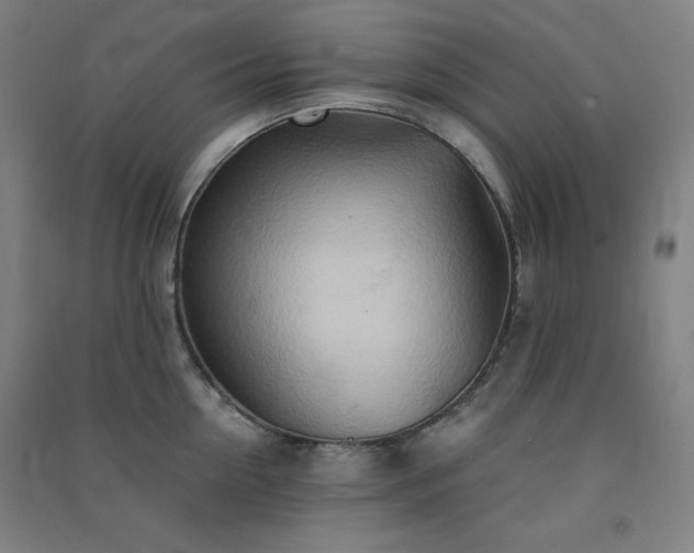X0000091570954200708201142