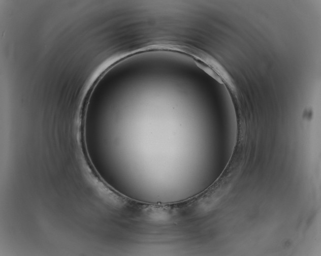 X0000091570955200708201142
