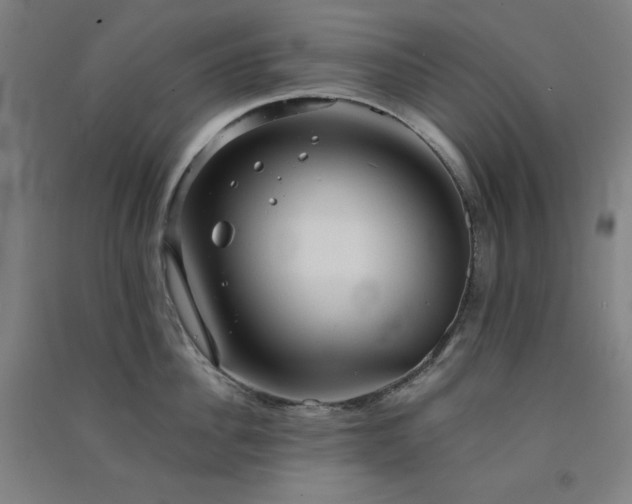 X0000091570956200708201142