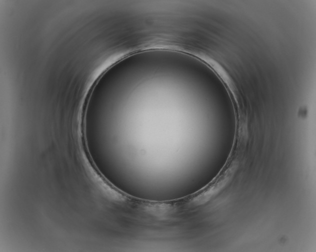 X0000091570957200708201142