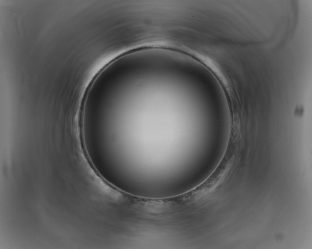 X0000091570959200708201142