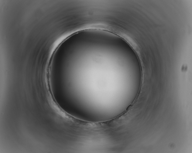 X0000091570960200708201142