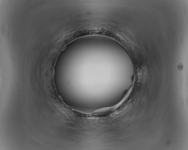 X0000091570961200708201142