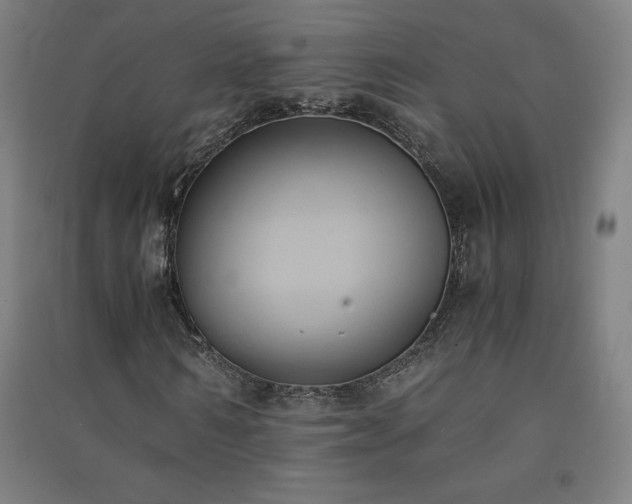 X0000091570962200708201142