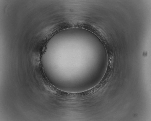 X0000091570963200708201142