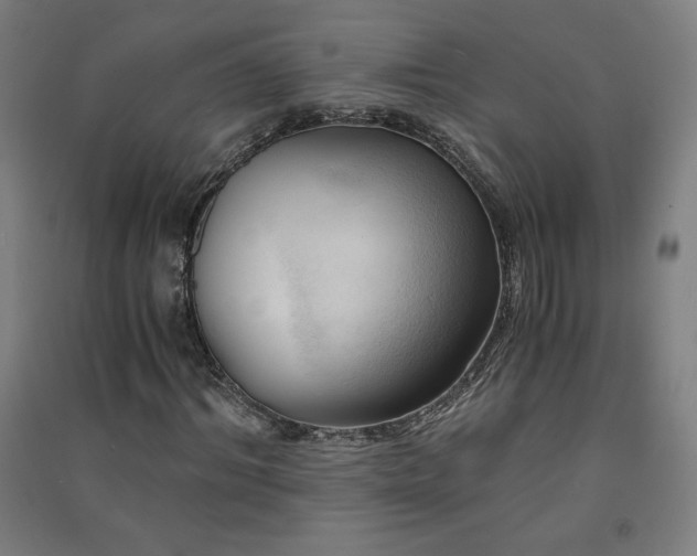 X0000091570964200708201142