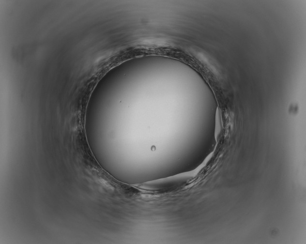 X0000091570965200708201142