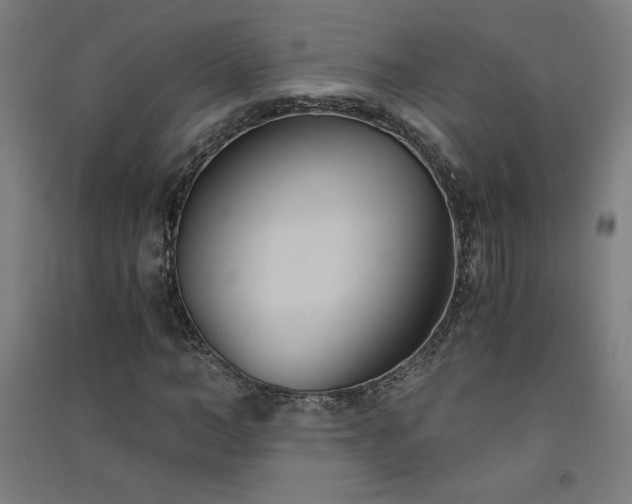 X0000091570966200708201142