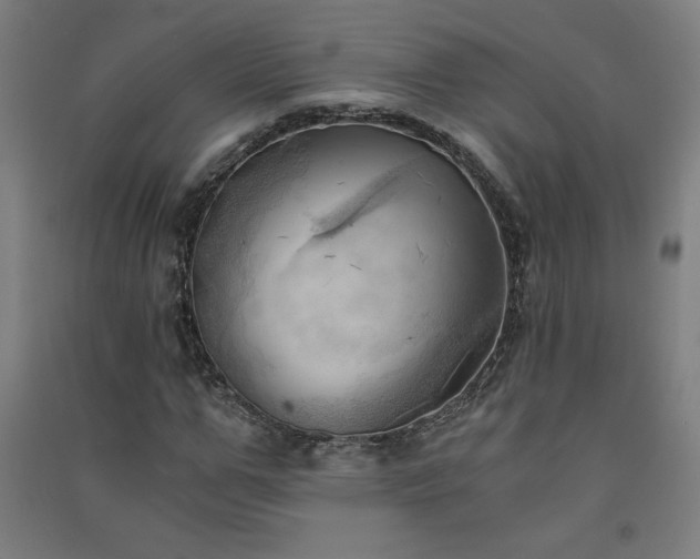 X0000091570967200708201142