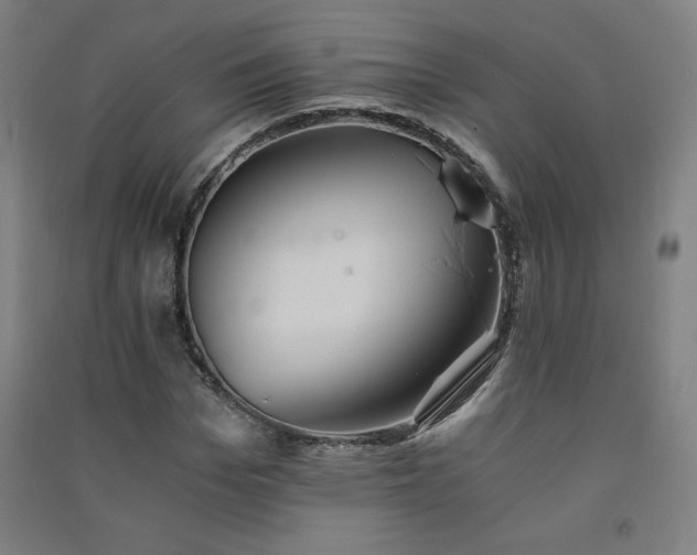 X0000091570969200708201142