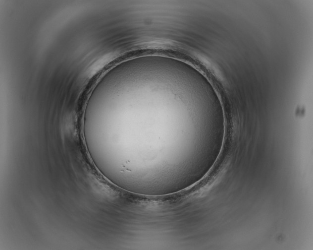 X0000091570970200708201142
