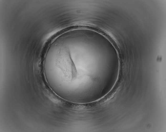 X0000091570971200708201142