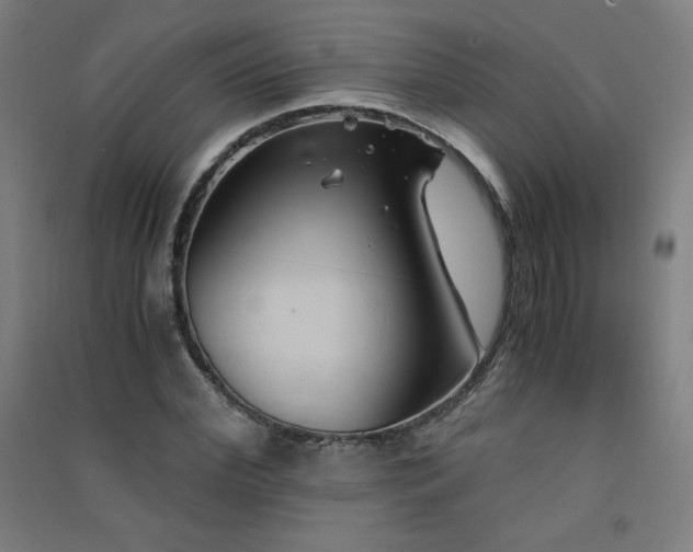 X0000091570972200708201142