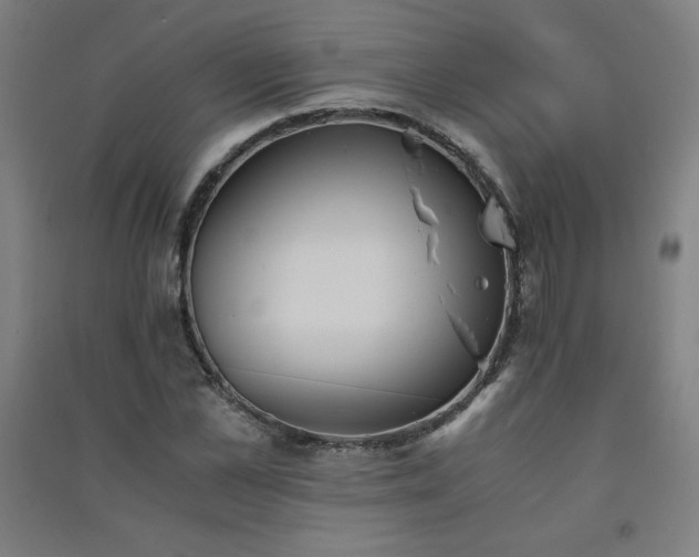 X0000091570973200708201142