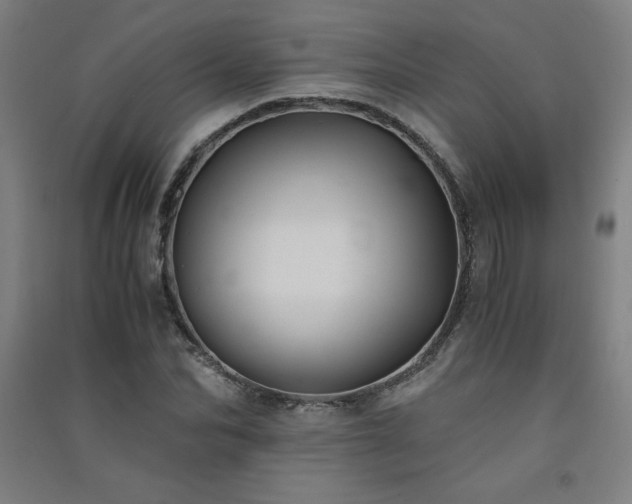 X0000091570974200708201142