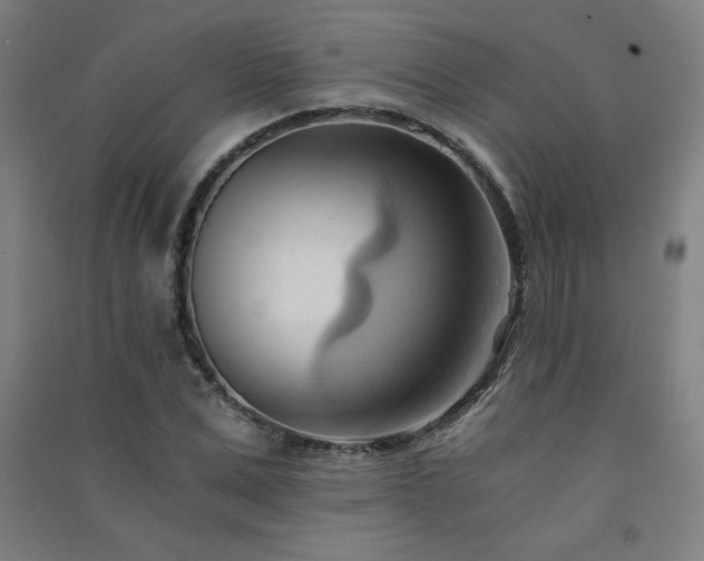 X0000091570975200708201142